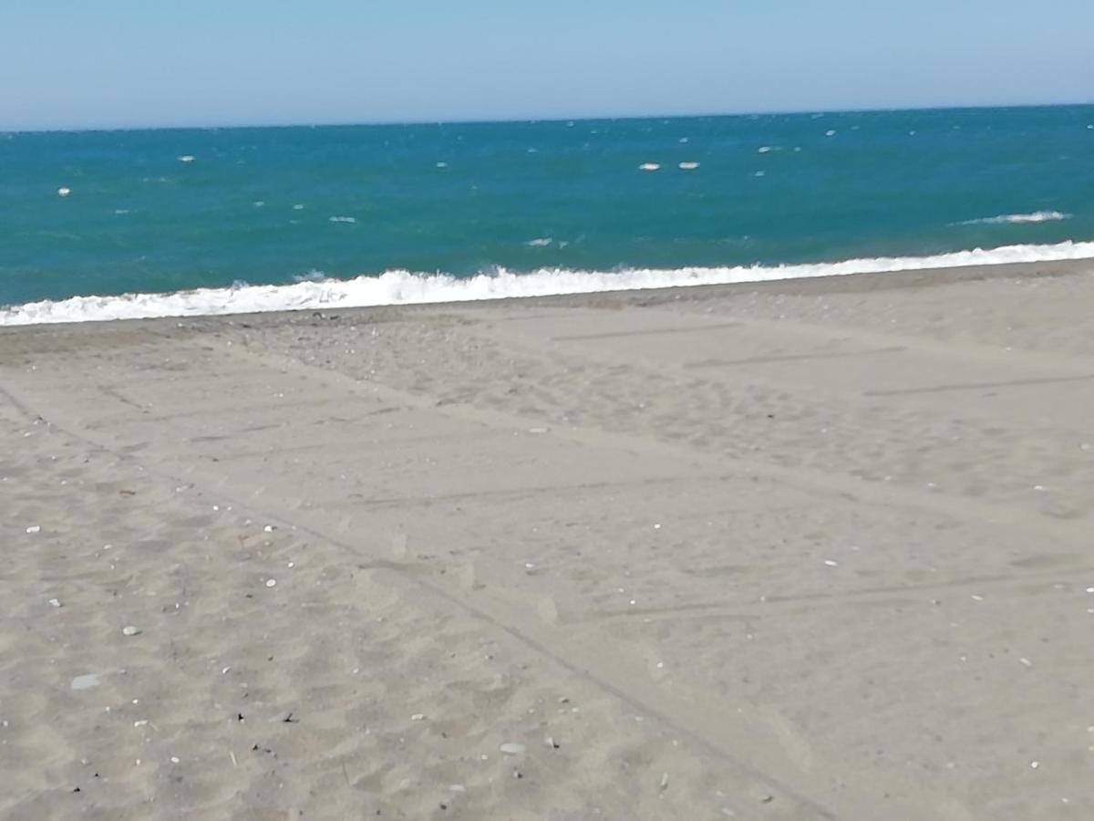 Pitaya Daire Algarrobo Costa Dış mekan fotoğraf